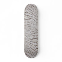 Glacial crevasses in Denali National Park, Alaska Skateboards