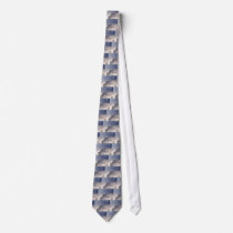 Glacial Landscape Custom Ties