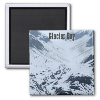 Glacier Bay Magnet 2 magnet