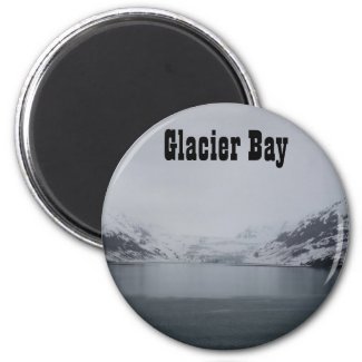 Glacier Bay Magnet 3 magnet