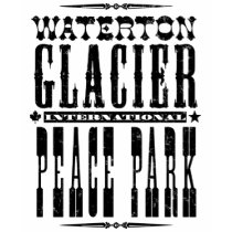 Glacier International Kid's Ringer, Gray t-shirts