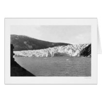 Glacier Juneau Alaska 1905 cards