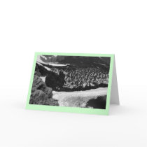 "Glacier National Park" cards