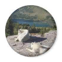 Glacier National Park magnets