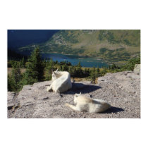 Glacier National Park, MT posters