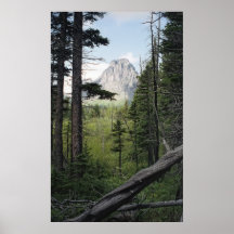 Glacier National Park Trail -- MONTANA Posters
