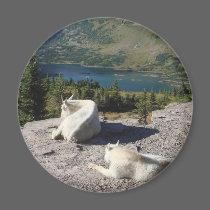 Glacier Park Montana magnets