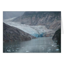 glacier tracy arm cards