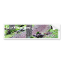Glacier Trail bumper stickers