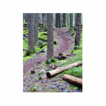 Glacier Trail photo sculptures by lifesphere Glacier Trail photo sculptures
