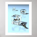 Glaçons - Icecubes posters