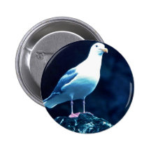 Glacous Winged Gull Buttons