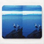 Glacous Winged Gull Mouse Pad