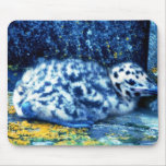 Glacous Winged Gull Mousepads