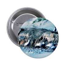 Glacous Winged Gulls Pinback Buttons