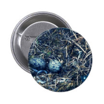 Glacous Winged Gulls Pinback Buttons