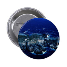 Glacous Winged Gulls Pins