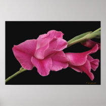 Glad Floral Poster
