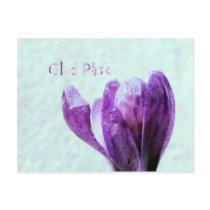 Glad Påsk Postcard