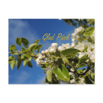 Glad Påsk Postcards