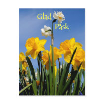 Glad Påsk Post Card