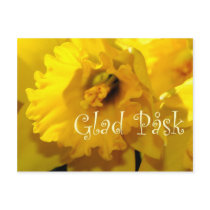 Glad Påsk Postcards