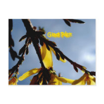 Glad Påsk Postcard