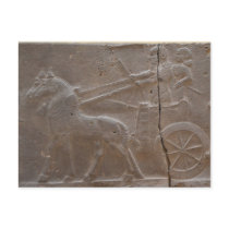 Gladiators Post Card