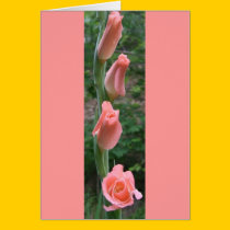 Gladiola Greeting/Note Card