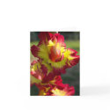 Gladiola Note Card by dawnlopez331 Gladiola Note Card