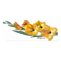 Gladiola Watercolor Painting Print