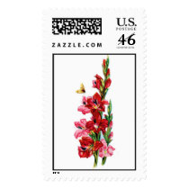Gladiolas postage by clarachandler Gladiolas postage