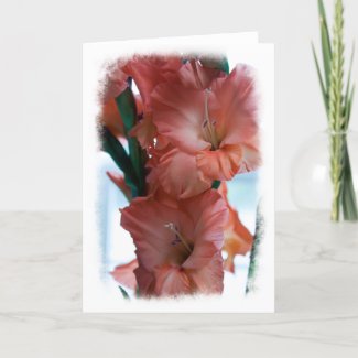 Gladiolus card