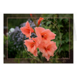 flower, anniversary, birthday, frame, framed, 3d,