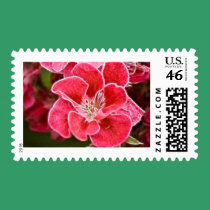 Glamour stamps