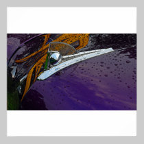 Glass and Chrome Poster/Print