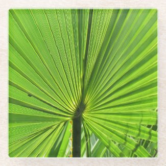 Glass Coaster - Palm Leaf