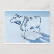 Glass Cow postcard