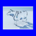 Glass Cow postcards