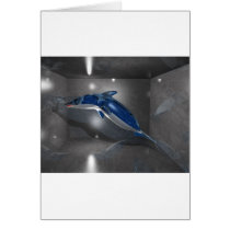 Glass Dolphin Cards