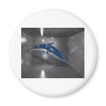 Glass Dolphin Magnets