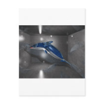 Glass Dolphin Postcards
