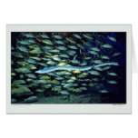 Glass Eel - Sea of Thailand Greeting Cards Glass Eel - Sea of Thailand Greeting Cards