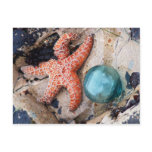Glass Float and Orange Star Postcard