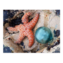 Glass Float and Orange Star Postcard