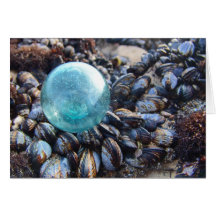 Glass float on blue mussels greeting card
