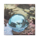 Glass floating in tide pool magnets