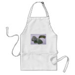 Glass meteorites (tektites) apron