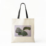 Glass meteorites (tektites) bags