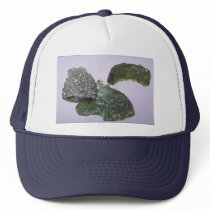 Glass meteorites (tektites) mesh hats